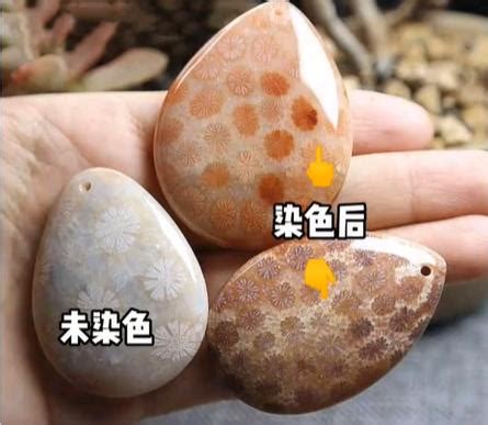 珊瑚玉左右手|珊瑚玉怎麼養？一文了解珊瑚玉功效、禁忌、等級&真。